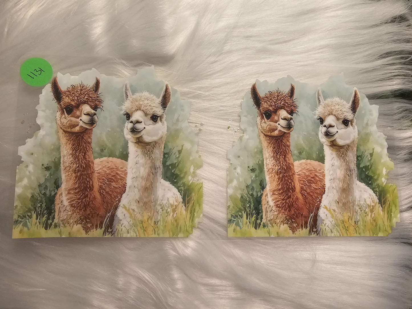Animals 1131