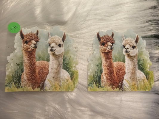 Animals 1131