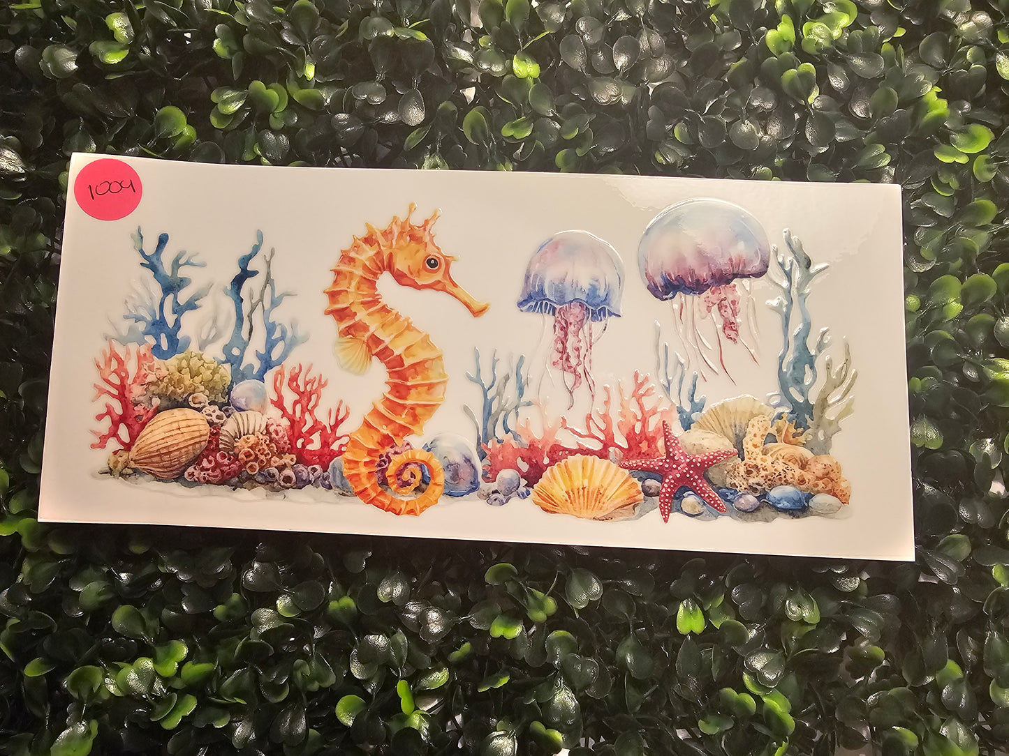 Beach 1004